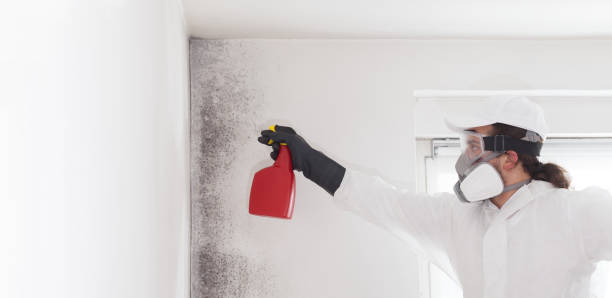 Best Professional Mold Removal  in Pioneer, CA