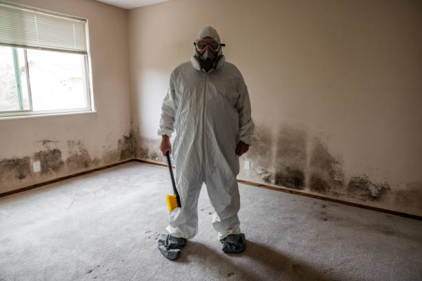Best Commercial Mold Removal  in Pioneer, CA